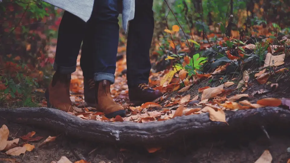 Dating tips til mødet: to mennesker på gåtur i en skov om efteråret